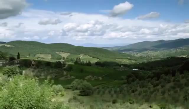 Canadian Imported Ice Wine Women's Ice White Wine Sweet Wine...